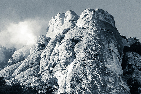 Head Montserrat